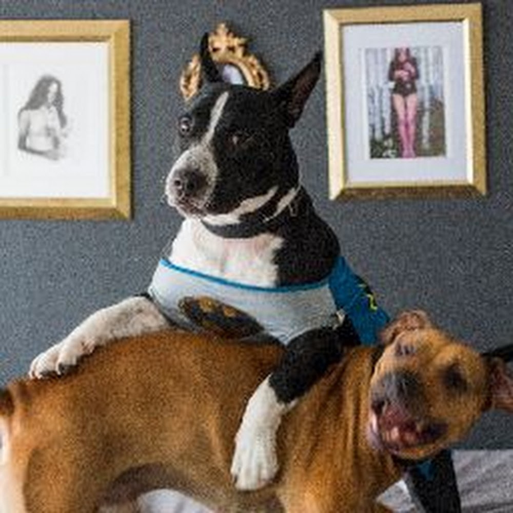 Meet your Posher, Kamryn